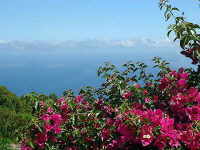 Ferienhaus Ferienwohnung oder eine Finca auf La Palma